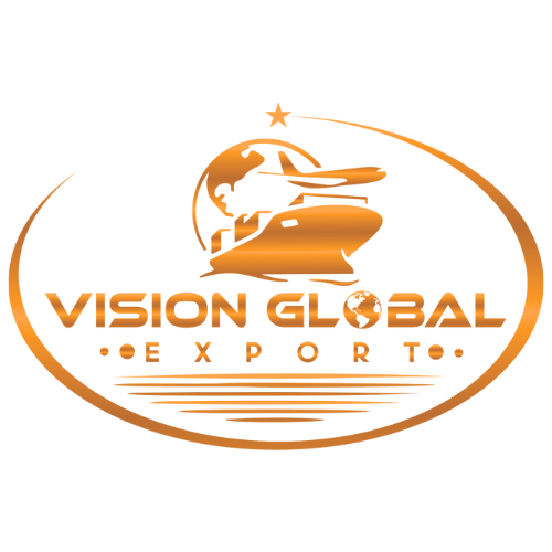 logo of vision global.